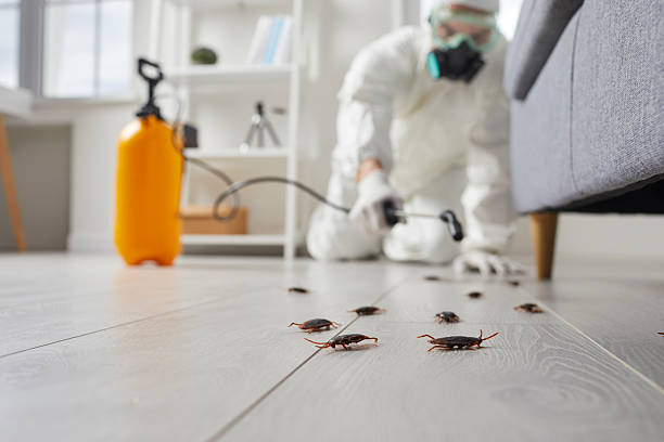 Commercial Rodent Management in Drew